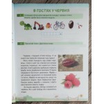 О. Максимчук Літній зошит з 1 у 2 клас Українська мова та читання + диплом